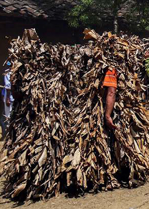 Danza carachupa. Lamas, San Martín