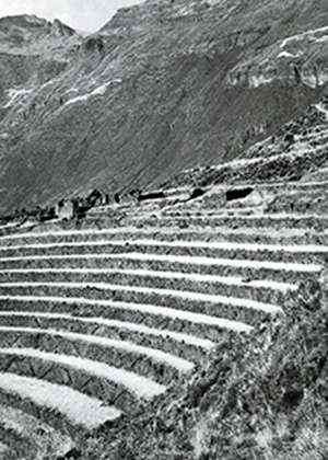 Andenes de Pisac